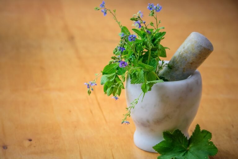 Fleurs aux pétales violets dans un mortier et un pilon