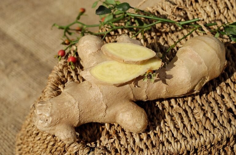 Gingembre frais