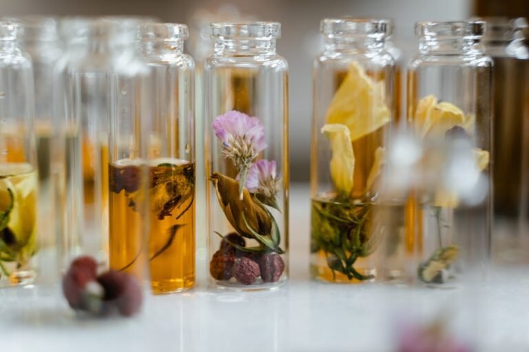 Herbes médicinales dans des ampoules