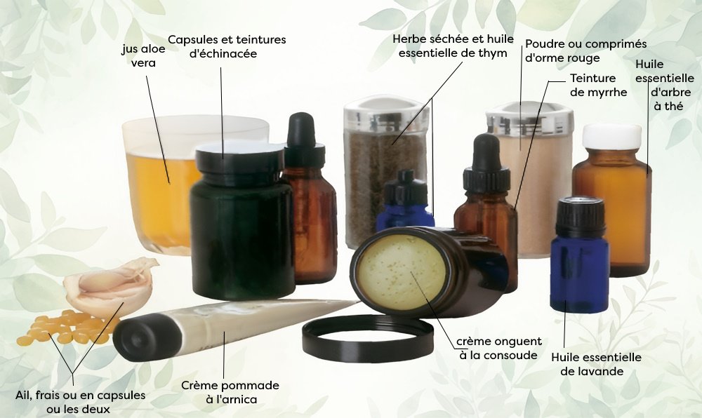Herbes et huiles essentielles