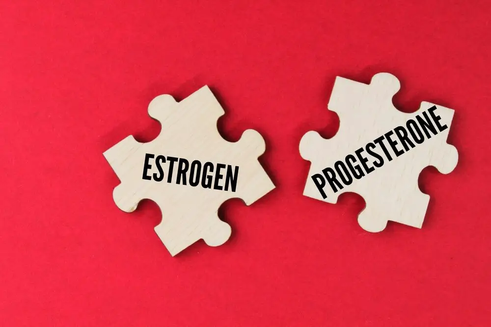 Pièce de puzzle avec les mots œstrogène et progestérone